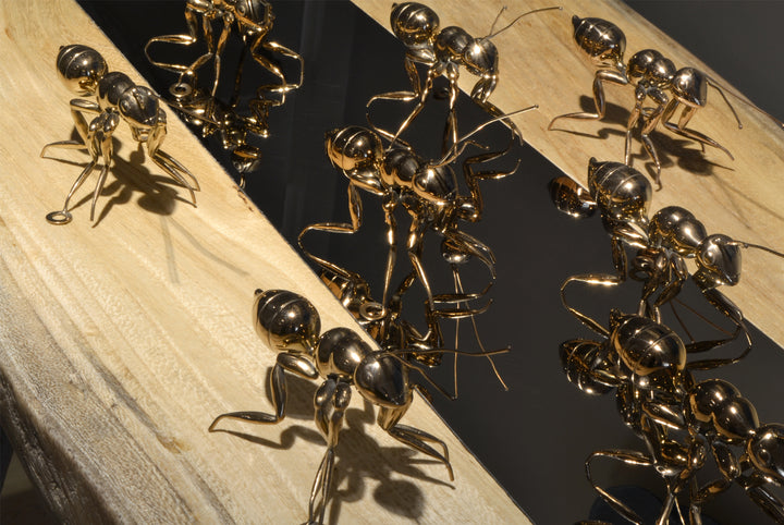 Copper Ant - Lifestyle shot 2 - Best seller. Decorative Object / Sculpture. Copper Colour. Ant Decorative object. Can be used as a free standing ornament or wall decor. The Ant feet contains fixtures that allowed the sculpture to be hung on the wall and u
