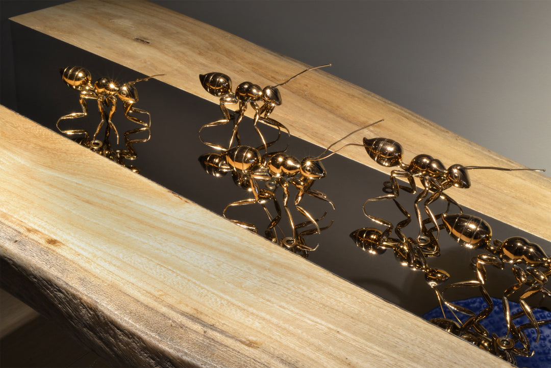 Copper Ant - Lifestyle shot 3 - Best seller. Decorative Object / Sculpture. Copper Colour. Ant Decorative object. Can be used as a free standing ornament or wall decor. The Ant feet contains fixtures that allowed the sculpture to be hung on the wall and u