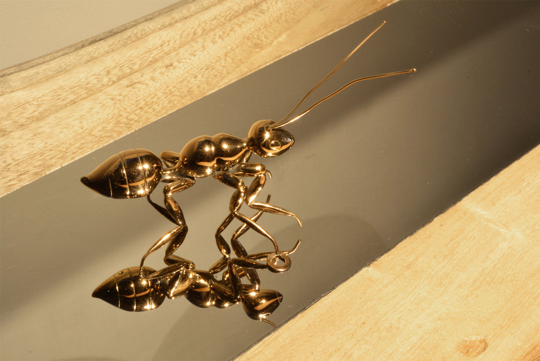 Copper Ant - Lifestyle shot 1 - Best seller. Decorative Object / Sculpture. Copper Colour. Ant Decorative object. Can be used as a free standing ornament or wall decor. The Ant feet contains fixtures that allowed the sculpture to be hung on the wall and u