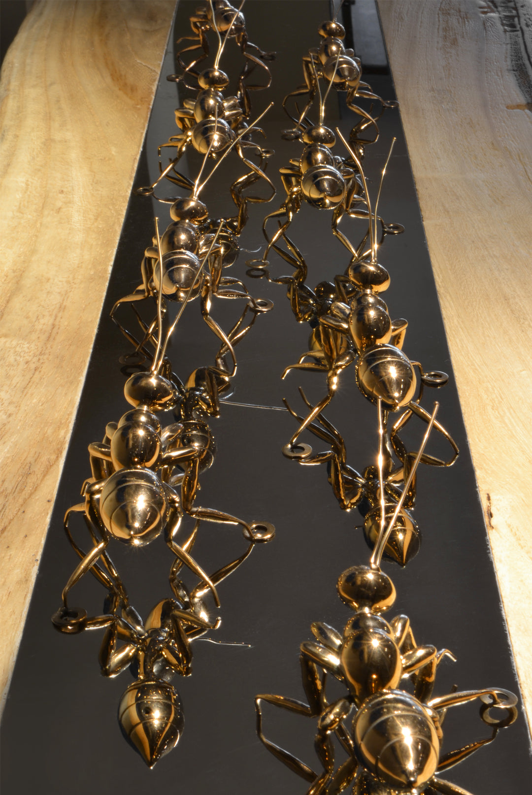 Copper Ant - Lifestyle shot 4 - Best seller. Decorative Object / Sculpture. Copper Colour. Ant Decorative object. Can be used as a free standing ornament or wall decor. The Ant feet contains fixtures that allowed the sculpture to be hung on the wall and u
