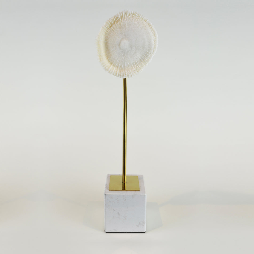 Coral Burst - Tall view 1 - Decorative Object / Sculpture. Ivory Colour. Faux Coral home decor. Marble base. Materials: Sandstone, Carrara Marble, Nickel Plated Steel. Available in two sizes: Short, Tall. Short dimensions: W13 D8 H33cm. Tall dimensions: W