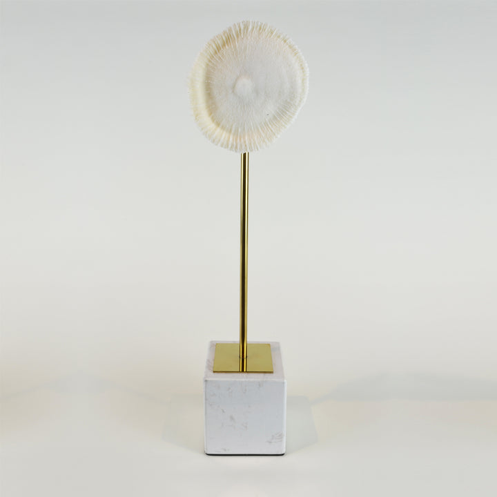 Coral Burst - Tall view 1 - Decorative Object / Sculpture. Ivory Colour. Faux Coral home decor. Marble base. Materials: Sandstone, Carrara Marble, Nickel Plated Steel. Available in two sizes: Short, Tall. Short dimensions: W13 D8 H33cm. Tall dimensions: W