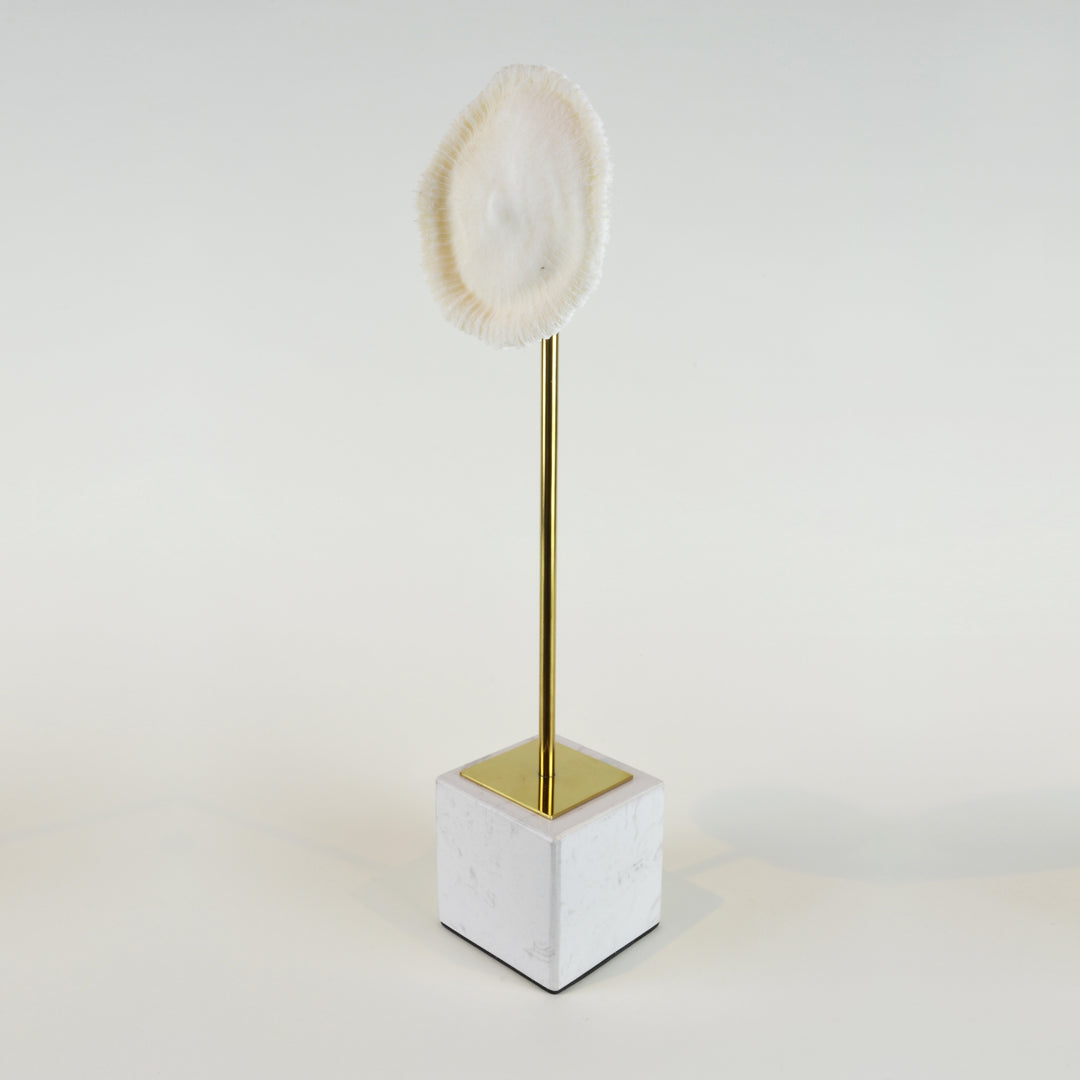 Coral Burst - Tall view 2 - Decorative Object / Sculpture. Ivory Colour. Faux Coral home decor. Marble base. Materials: Sandstone, Carrara Marble, Nickel Plated Steel. Available in two sizes: Short, Tall. Short dimensions: W13 D8 H33cm. Tall dimensions: W