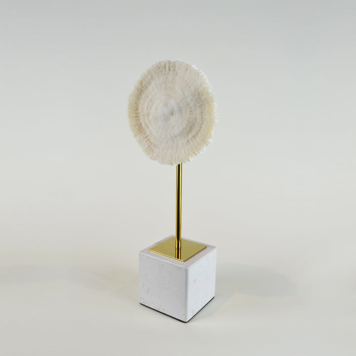 Coral Burst - Short view 2 - Decorative Object / Sculpture. Ivory Colour. Faux Coral home decor. Marble base. Materials: Sandstone, Carrara Marble, Nickel Plated Steel. Available in two sizes: Short, Tall. Short dimensions: W13 D8 H33cm. Tall dimensions: 