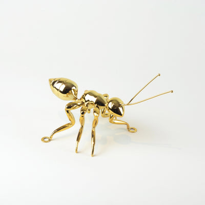 Gold Ant - View 2 - Best seller. Decorative Object / Sculpture. Gold Colour. Ant Decorative object. Can be used as a free standing ornament or wall decor. The Ant feet contains fixtures that allowed the sculpture to be hung on the wall and used as a sculp