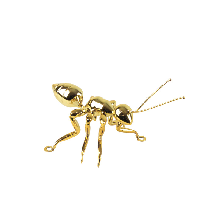 Gold Ant - View 1 - Best seller. Decorative Object / Sculpture. Gold Colour. Ant Decorative object. Can be used as a free standing ornament or wall decor. The Ant feet contains fixtures that allowed the sculpture to be hung on the wall and used as a sculp