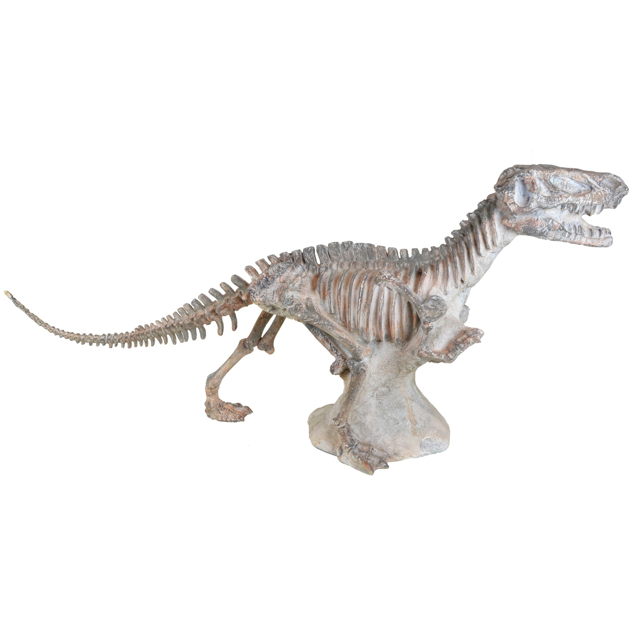 T Rex Fossil Dinosaur Sculptures Decor 5mm Design Store London