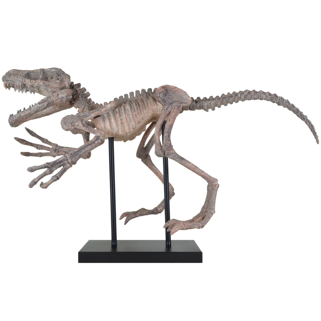 Running Raptor - Dinosaur Sculptures & Decor - 5mm Design Store London